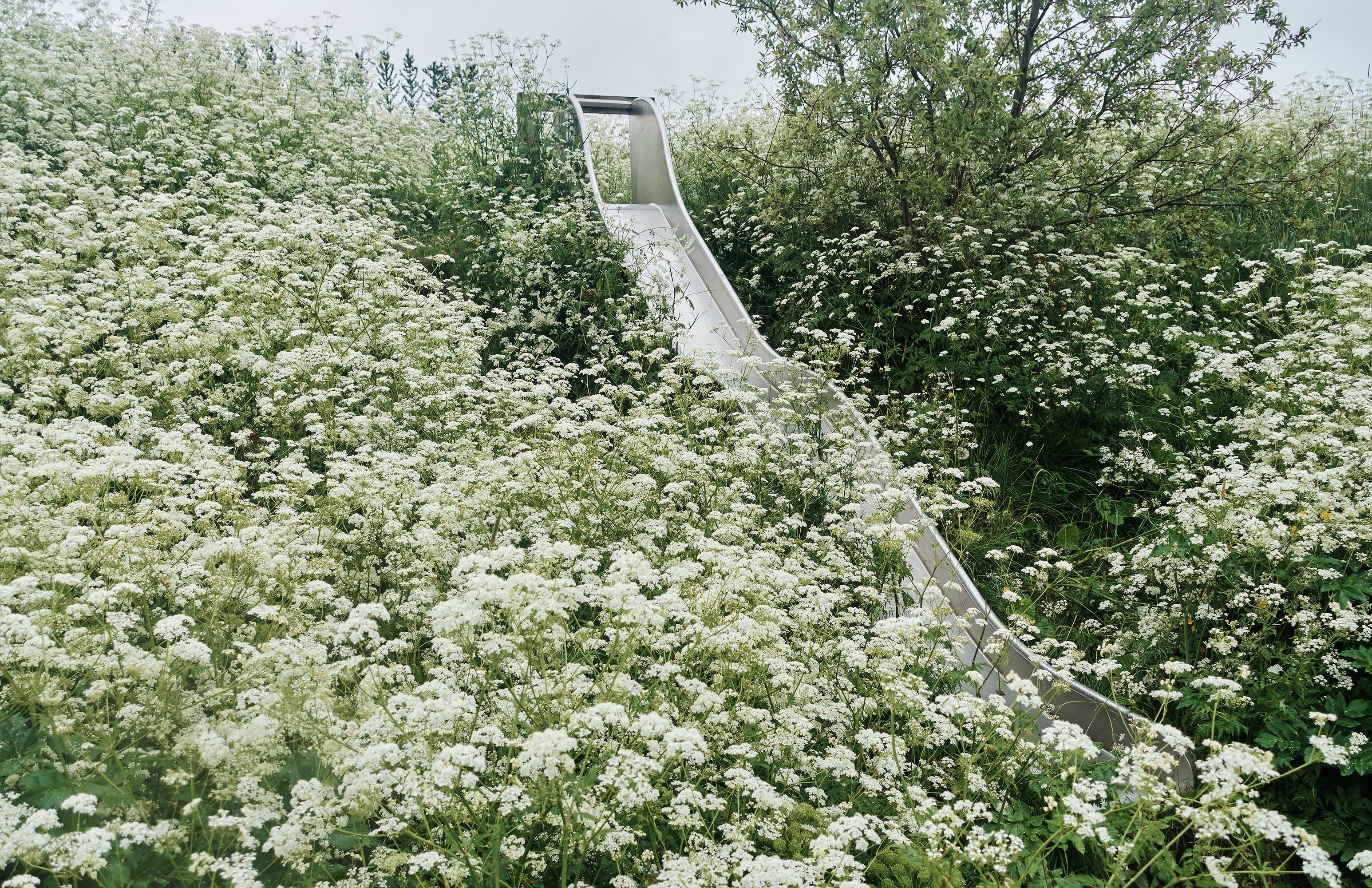 65-DSC01156